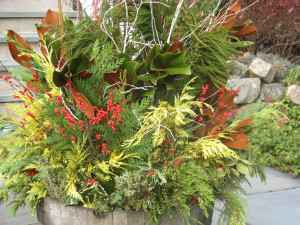 Container Gardens: Holidays